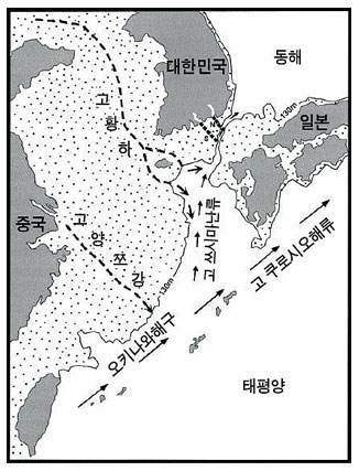 그림 6. 최종빙하기(약 1만 7천 년 전)의 한반도 주변의 모습. 해수면이 낮아지면서 동해로 유입되는 해류량이 적어지거나 차단되었을 가능성이 있음을 보여주고 있다(Lee and Nam, 2003).
