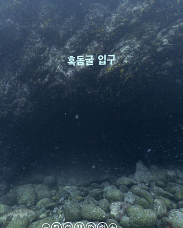 독도 수중 VR - 혹돔굴