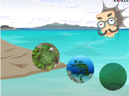 Marine biodiversity