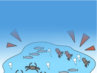 Interesting Marine Life of Dokdo
