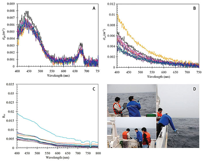 그림 2. 독도 주변 해역에서 관측된
    A. 식물플랑크톤 B. 부유물질의 흡광(aph, aSS ) 스펙트럼 C. 표층 원격반사도 (Rrs) 스펙트럼 D. 현장측정 방법