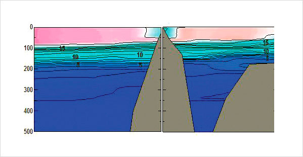 독도 주변에서의 수온 수직 분포(2006년 12월 관측자료)