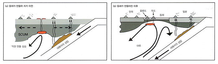 그림 4. (a) 동해가 만들어지기 이전에 대륙지각과
    그 하부의 고체 맨틀(SCUM; Subcontinental Upper Mantle)이 인장력을	받아 얇아지고 이로 인해 생성된 공간으로 주변의
    약권 맨틀(asthenospheric mantle)이 이동하여 들어오면서 상승한다.(b) 인장력이 더 강해지면서
    동해가 형성되고 하부에 맨틀의 순환 및 상승이 일어나며 동해 내 화성작용을 일으킨다.